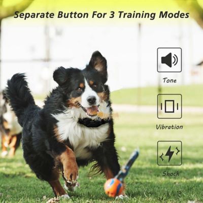 Image showing 8 th PATPET 3000 ft. IPX7 Black green Dog Training Collar