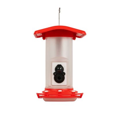Image showing  Smart Hummingbird Feeder