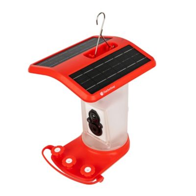 Image showing  Smart Hummingbird Feeder