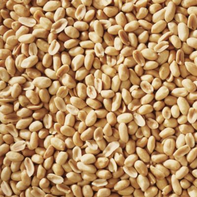 Image showing  4 lb. Shelled Peanut Bird Food