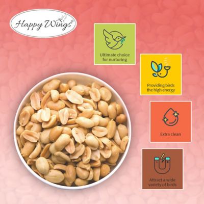 Image showing  4 lb. Shelled Peanut Bird Food