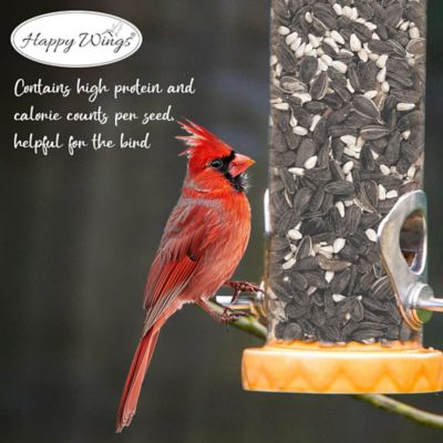 Image showing  4 lb Cardinal Blend Bird Food