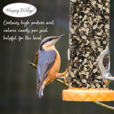 Image showing  4 lb Songbird Blend Bird Food