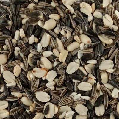 Image showing  4 lb Songbird Blend Bird Food