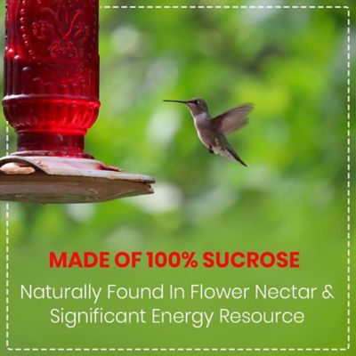 Image showing 6 th Happy Wings Hummingbird Nectar 2 lb.