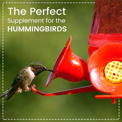 Image showing 7 th Happy Wings Hummingbird Nectar 2 lb.