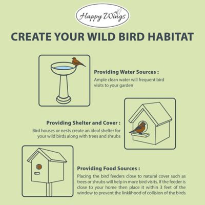 Image showing  Nyjer Thistle Seed