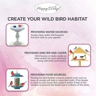 Image showing  4 lb. Safflower Seed Bird Food