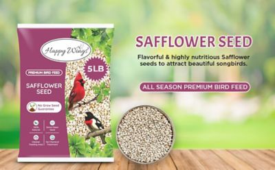 Image showing  4 lb. Safflower Seed Bird Food
