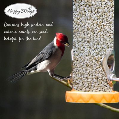 Image showing 6 th Happy Wings 4 lb. Safflower Seed Bird Food