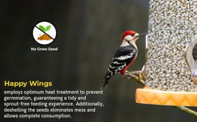Image showing 8 th Happy Wings 4 lb. Safflower Seed Bird Food