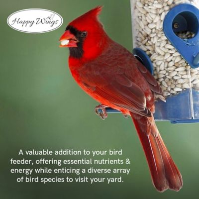 Image showing 6 th Happy Wings Sunflower Seed Hearts & Chips