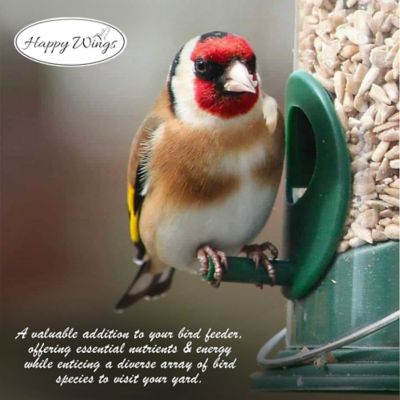 Image showing 7 th Happy Wings Sunflower Seed Hearts & Chips