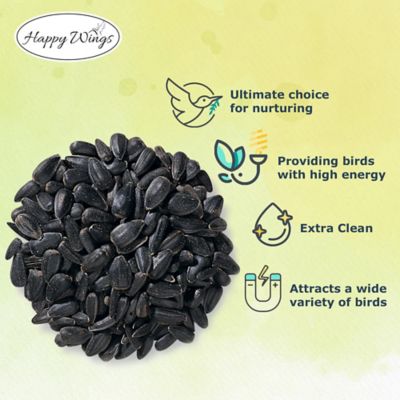 Image showing  Black Oil Sunflower Seed
