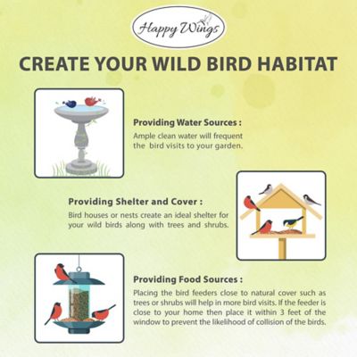 Image showing  Black Oil Sunflower Seed