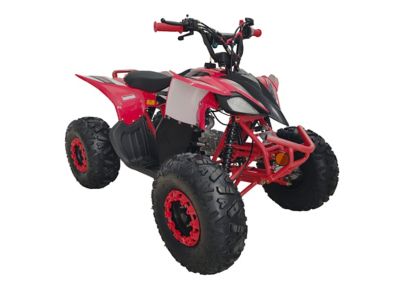 Image showing  125cc Fuel Injection ATV RT125-C