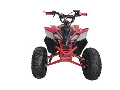 Image showing  125cc Fuel Injection ATV RT125-C