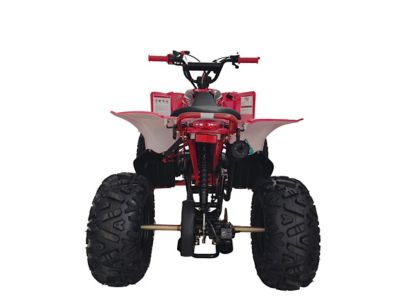 Image showing  125cc Fuel Injection ATV RT125-C