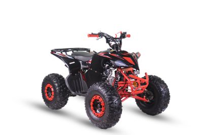 Image showing  125cc Fuel Injection ATV RT125-C