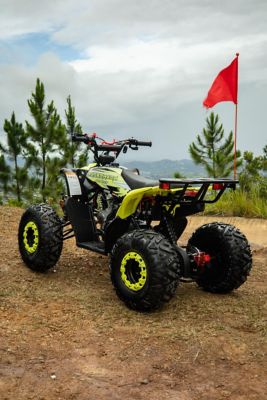 Image showing  125cc Fuel Injection ATV RT125-C