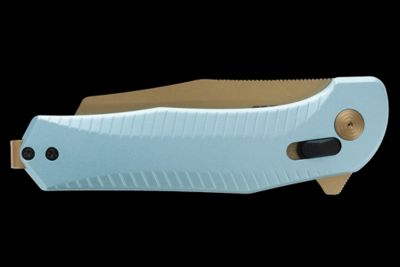 Image showing  Diverge XR - Light Blue + Gold