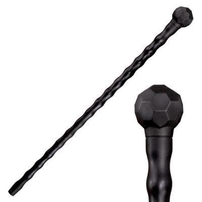 Image showing  African Walking Stick