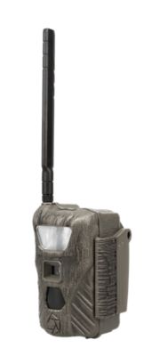 Image showing  Flashback 40MP Cellular Cam