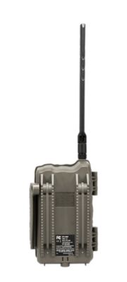 Image showing  Flashback 40MP Cellular Cam