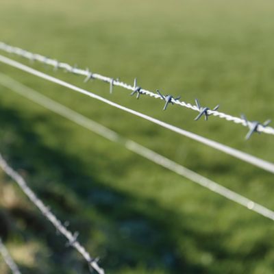 Image showing 5 th DEWALT 1320 ft. 12-1/2 Gauge Galvanized Steel 4-Point Barbed Wire
