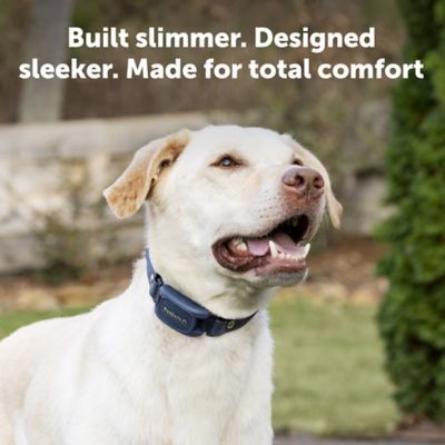 Image showing  Pro Dog Trainer with Remote - 1000 ft Range - Tone, Vibration and 19 Levels of Static - Sleek Remote Training Collar