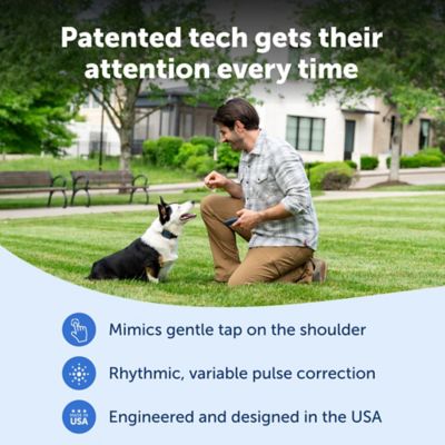 Image showing  Pro Dog Trainer with Remote - 1000 ft Range - Tone, Vibration and 19 Levels of Static - Sleek Remote Training Collar