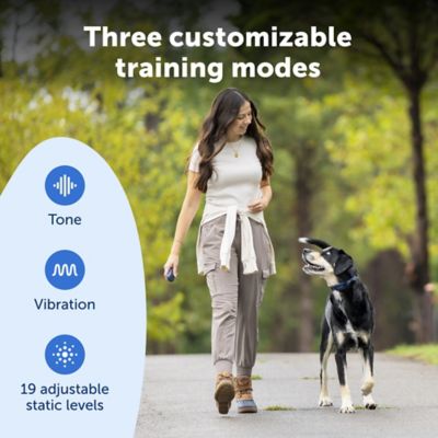 Image showing  Pro Dog Trainer with Remote - 1000 ft Range - Tone, Vibration and 19 Levels of Static - Sleek Remote Training Collar