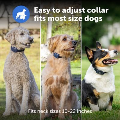 Image showing 5 th PetSafe Pro Dog Trainer with Remote - 1000 ft Range - Tone, Vibration and 19 Levels of Static - Sleek Remote Training Collar