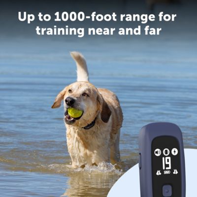 Image showing 6 th PetSafe Pro Dog Trainer with Remote - 1000 ft Range - Tone, Vibration and 19 Levels of Static - Sleek Remote Training Collar