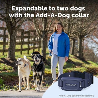 Image showing 7 th PetSafe Pro Dog Trainer with Remote - 1000 ft Range - Tone, Vibration and 19 Levels of Static - Sleek Remote Training Collar
