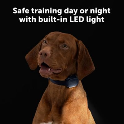 Image showing  Core Dog Trainer with Remote - 1000 Foot Range - Tone, Vibration and 15 Levels of Static