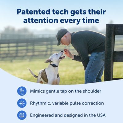 Image showing  Core Dog Trainer with Remote - 1000 Foot Range - Tone, Vibration and 15 Levels of Static