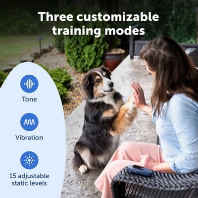 Image showing  Core Dog Trainer with Remote - 1000 Foot Range - Tone, Vibration and 15 Levels of Static
