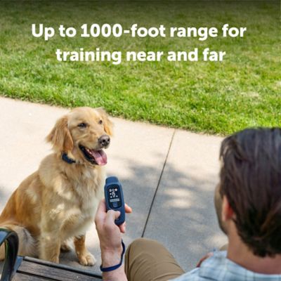 Image showing 6 th PetSafe Core Dog Trainer with Remote - 1000 Foot Range - Tone, Vibration and 15 Levels of Static