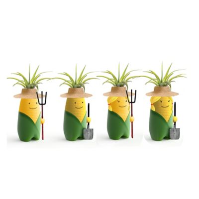 Living Seasons Colonel Kernel