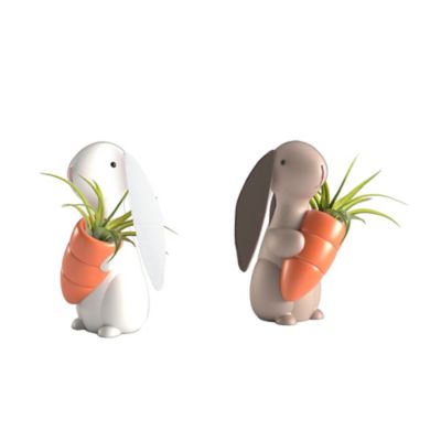 Living Seasons Roger