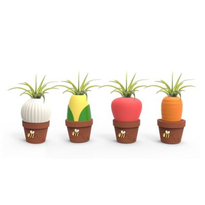 Living Seasons Garden Buds