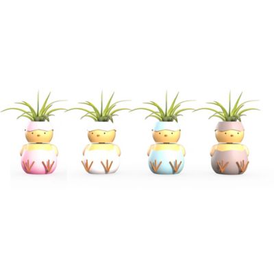 Living Seasons Hatchley