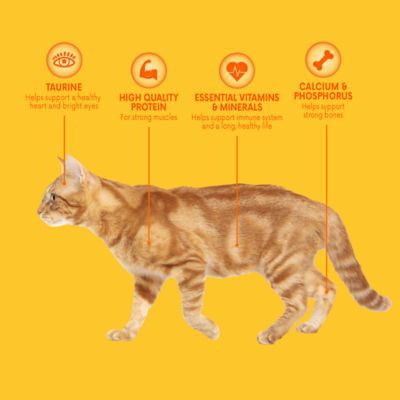 Image showing  Kibble Plus Balanced and Complete Adult Chicken Recipe Dry Cat Food, 6.3 lb. Bag