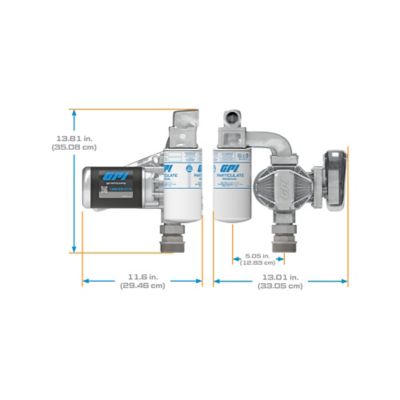 Image showing 5 th GPI 20 GPM 12V Fuel Transfer Pump, Automatic Diesel Nozzle with Filter