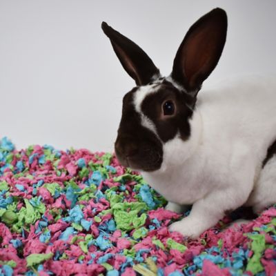 Image showing 6 th carefresh Tutti Frutti Small Pet Bedding, 23L