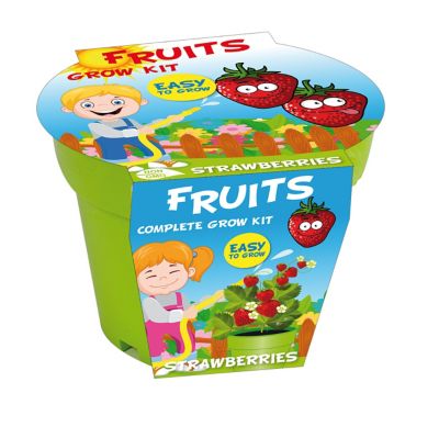TotalGreen Holland Veggies & Fruits seed kits for kids Strawberry
