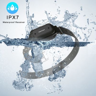Image showing  3000 ft. IPX7 Black Dog Training Collar