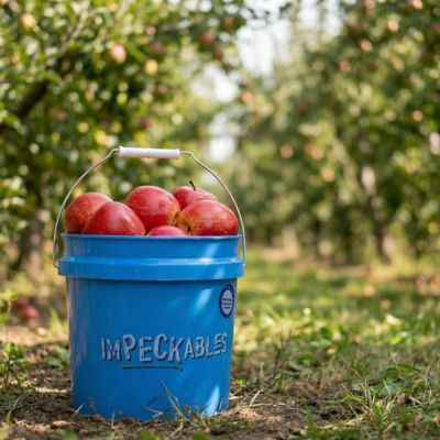 Image showing  2 gal. Heavy-Duty Bucket, Blue