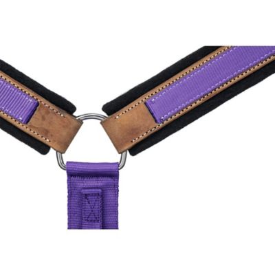 Image showing  Premium Hybrid Breastcollar